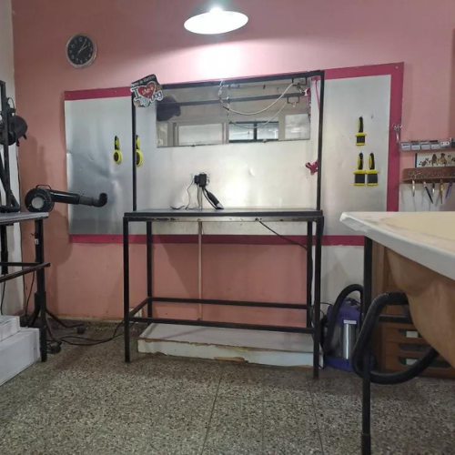 Venta Fondo De Comercio Peluquería Canina Y Felina Pet-shop