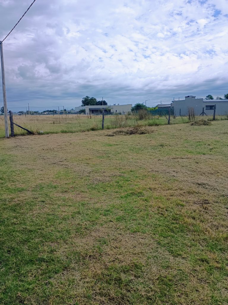 Terreno zona residencial las cavas