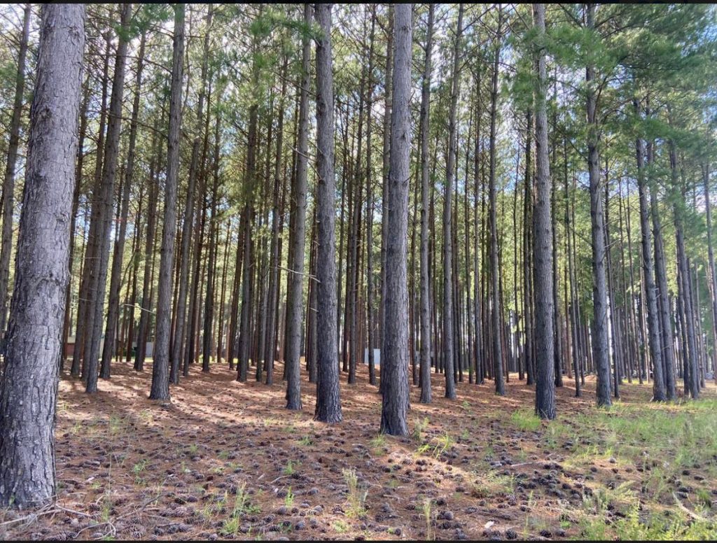 Lote en La Aldea Club del rio