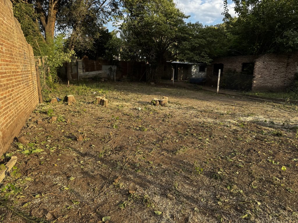 VENTA JUNIN CALLE FRANCIA Y SAN LUIS 11x26,45mts