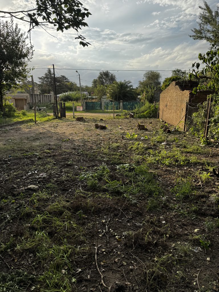 VENTA JUNIN CALLE FRANCIA Y SAN LUIS 11x26,45mts