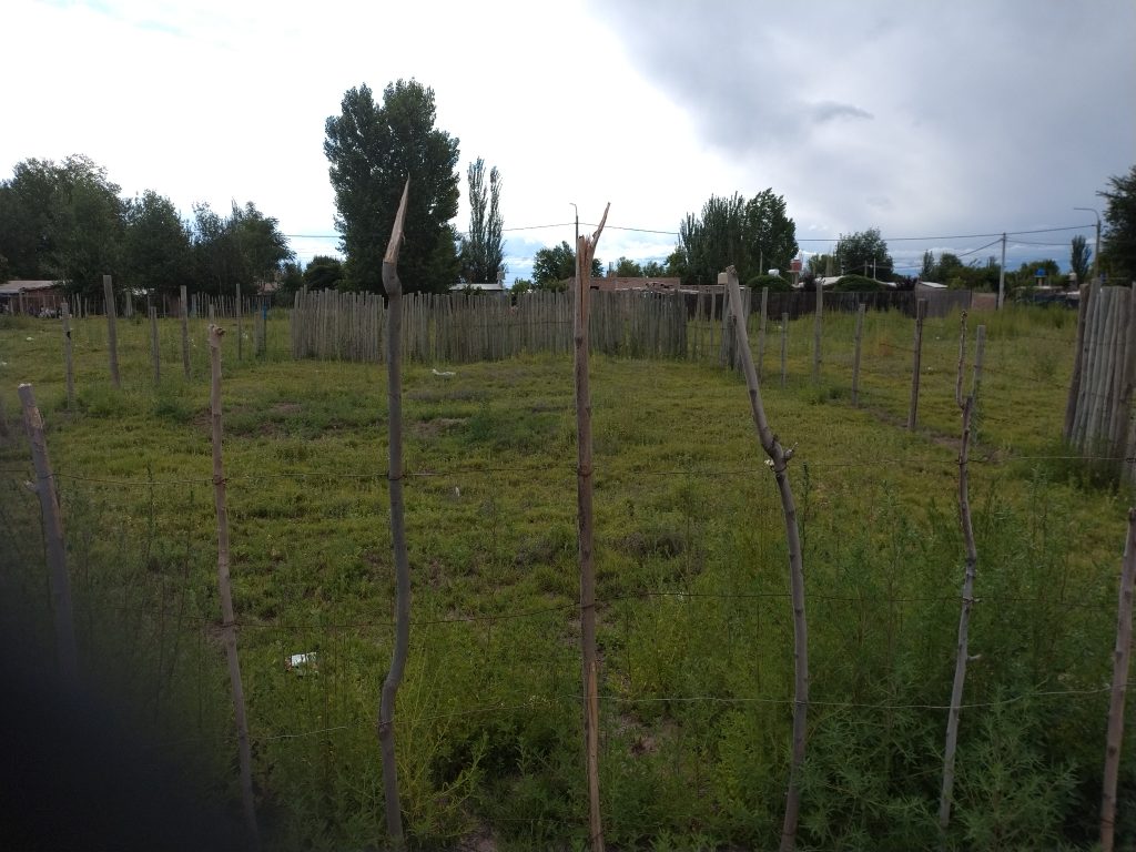 Lote 235 mtrs² urbanización,luz agua , cloacas,más inf al 2622314511