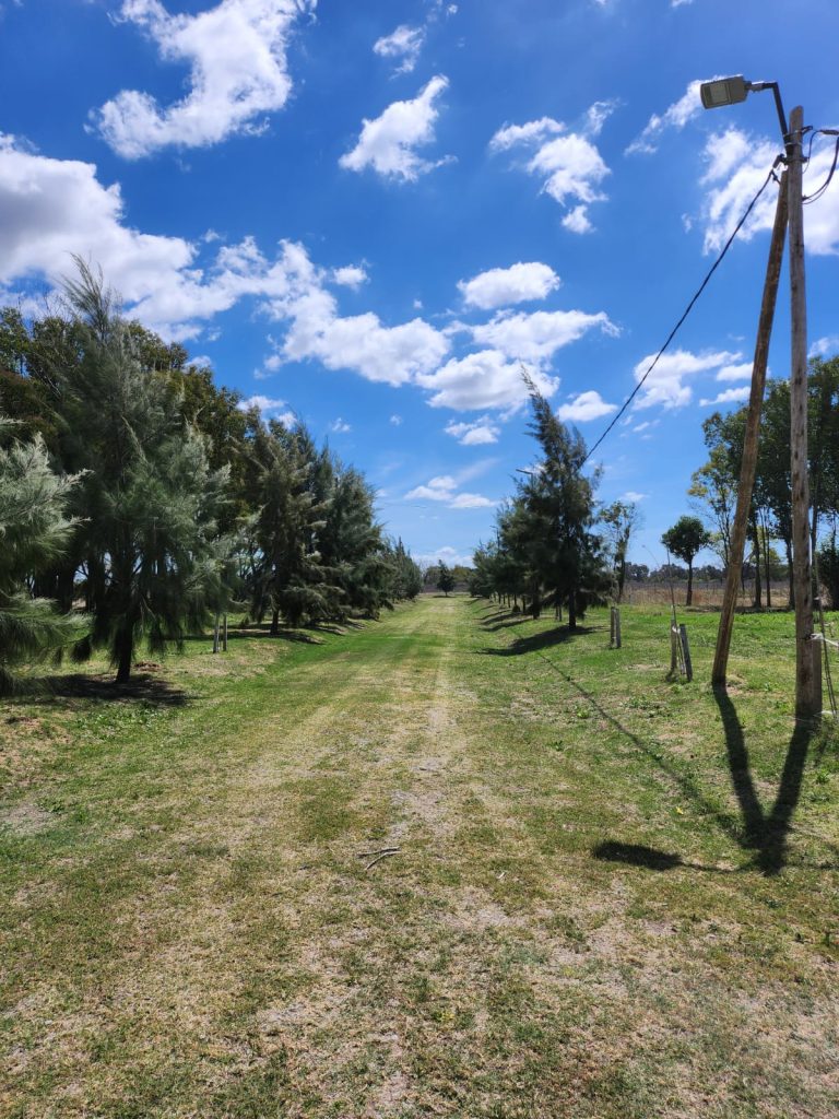 Vendo Lote de 602,18 m2 en Barrio Cerrado Orqueta Cura